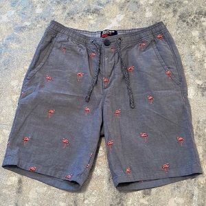 Superdry Sunscorched Shorts Gray
